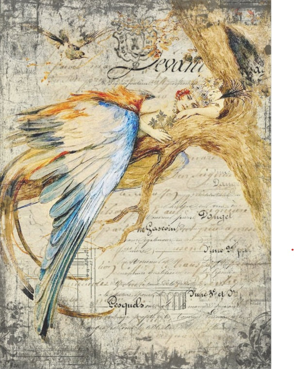 Vintage Woman French Rustic Texture Bird