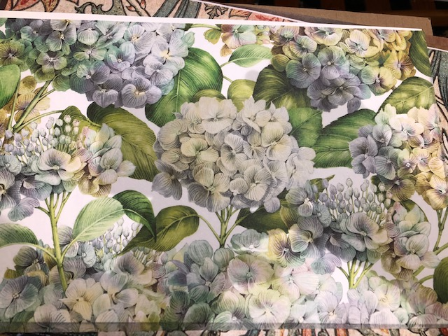 Lavender Blue Hydrangea