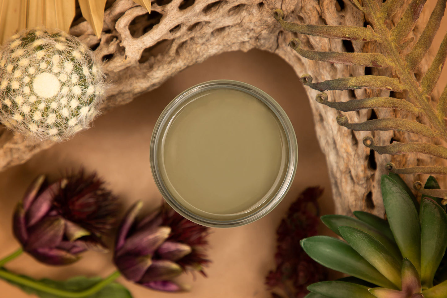 Cactus Silk Mineral Paint