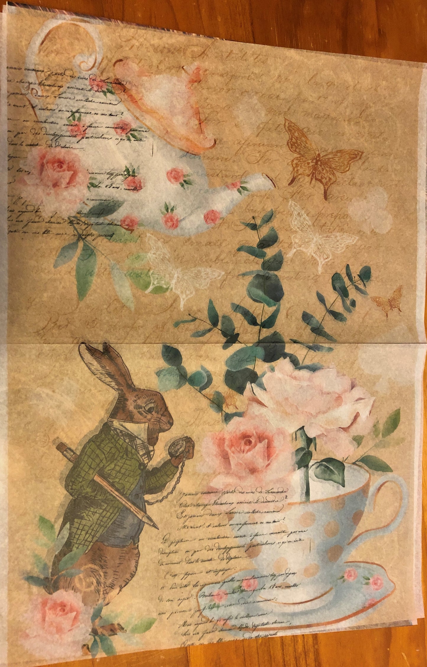 Chic Alice in Wonderland