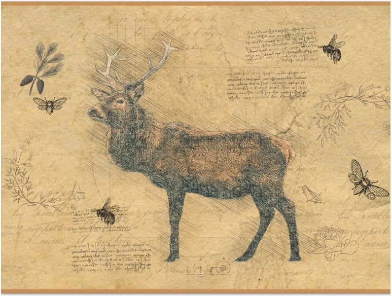 Elk