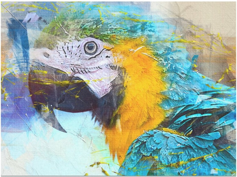 Watercolor Parrot
