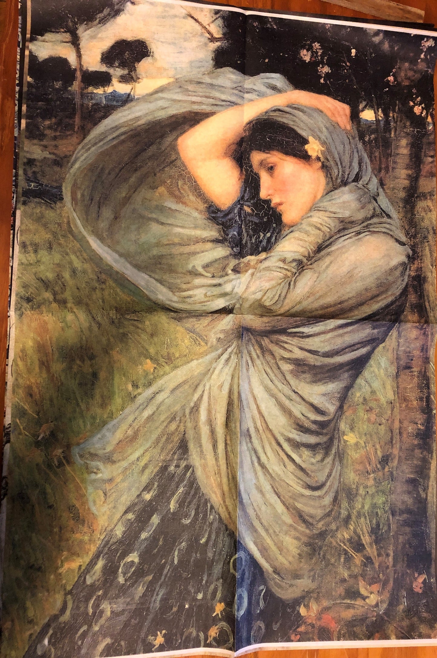 Waterhouse Boreas