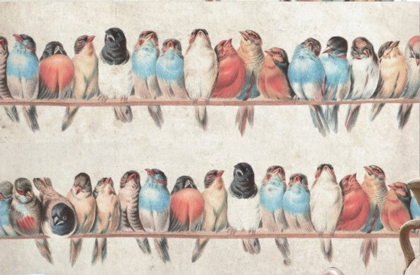 Vintage Bundle of Birds