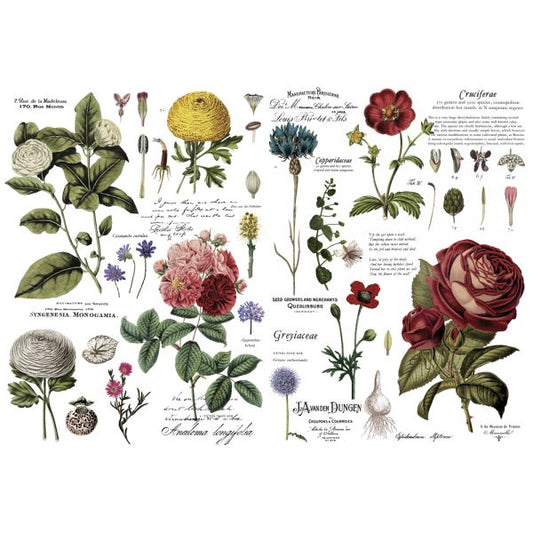 Vintage Botanical